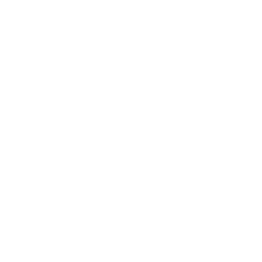 Accountant